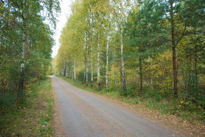 Country road at fall season