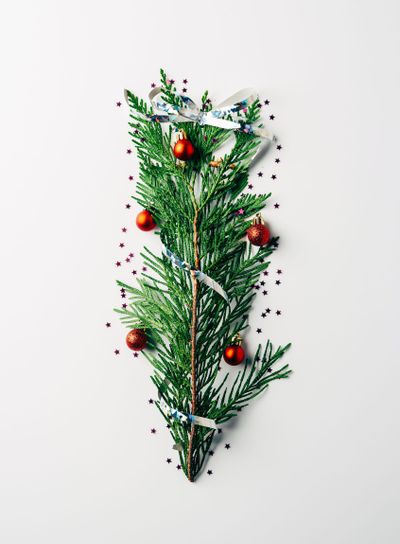 top view of green pine branch decorated as festive...