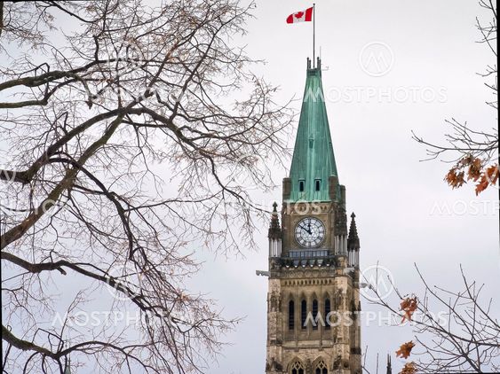 Canadian Symbol