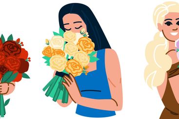petals bouquet roses woman vector