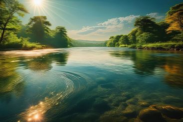 Sunlight glistens on the tranquil surface of a forest river