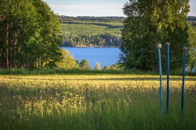 Utsikt mot Storsjön från Sem