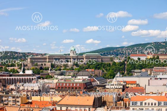 Budapest Cityscape and Buda Castle