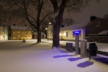 Night city in Scandinavia in winter, Large spreading trees
