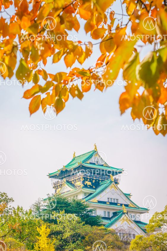 Osaka castle in Osaka Japan