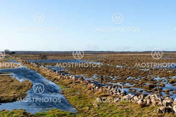 Tidig vår vid en våtmark på Stora Alvaret på Öland