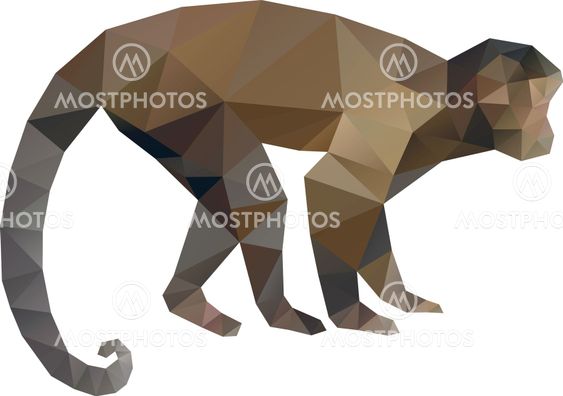 Polygonal Monkey
