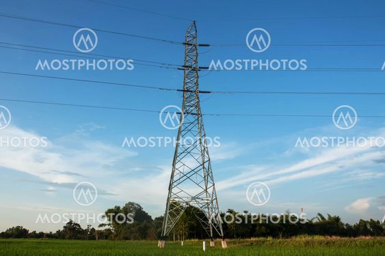 High voltage pylon in paddy