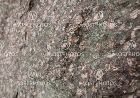 stone detail