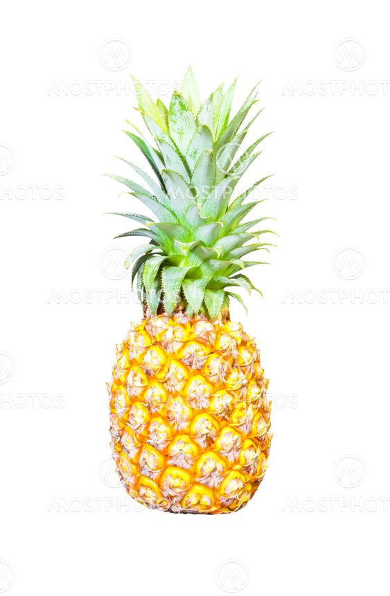 Pineapple isolated