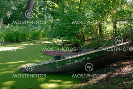Partially sunken moored wooden rowboats with leaves.