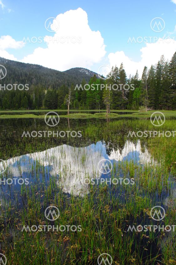 Calm Glassy Water