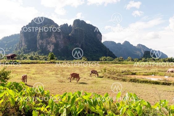 Limestone mountains in Vang Vieng, popular tourist resort town in Lao PDR.