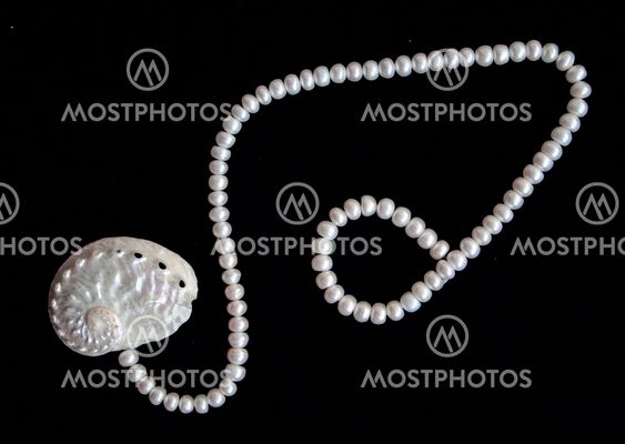 White pearls and nacreous cockleshell on the black velvet