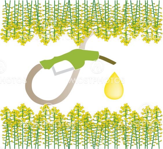 Biofuel
