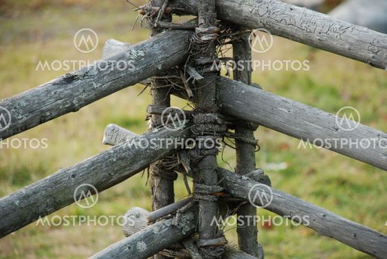 Fence crossing in Gamlia.