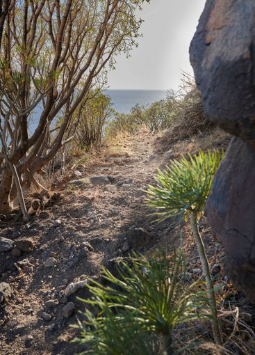 Mountain trail, plant or rocks with natural scenery,...