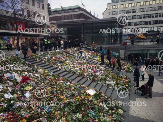 blommor sergels torg blommor sergels torg