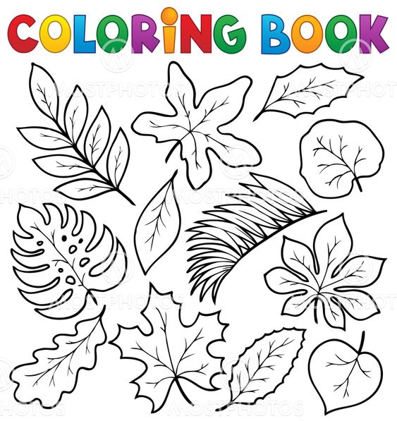 "Coloring book leaves theme 1" by Klara Viskova - Mostphotos