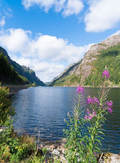 norwegian fjord in summer