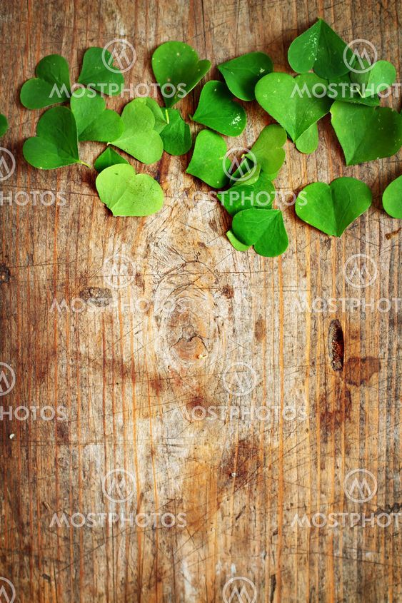 Green shamrock leaves on wooden background