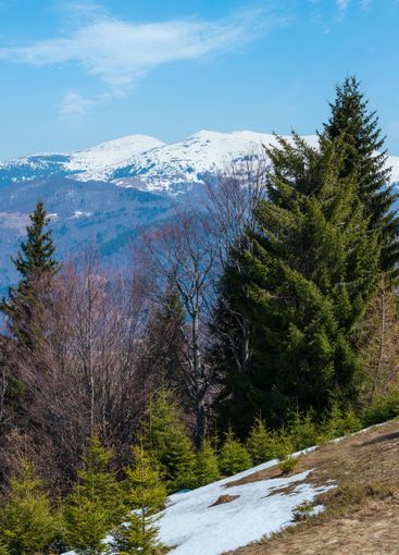 Early spring Carpathian mountains
