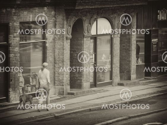 Blurred Picture of a Girl walking with her Dog