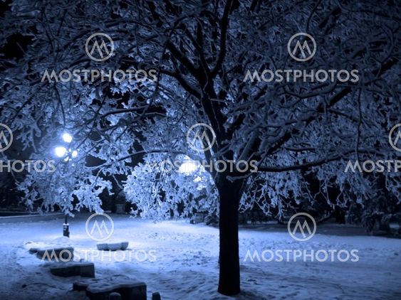 Winter landscape monochrome in blue