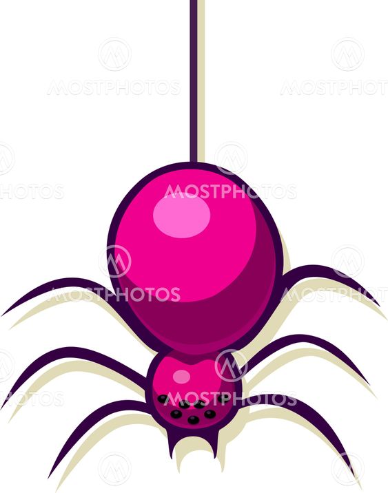 A vector illustration of a spider