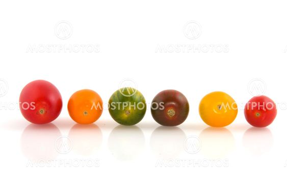 Wild colorful tomatoes