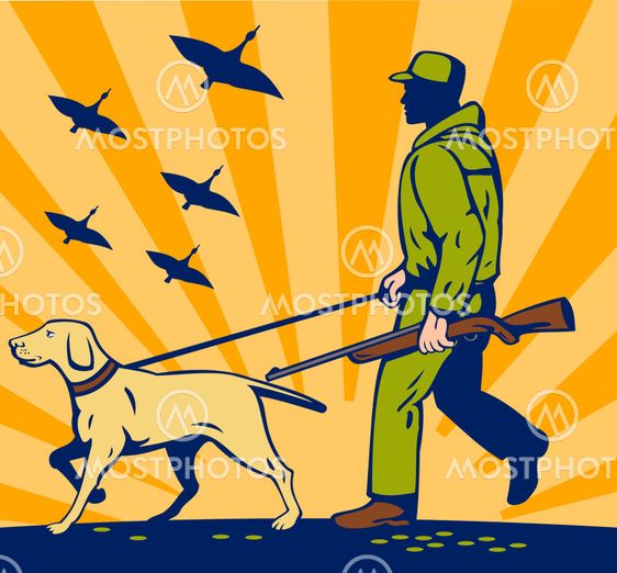 Hunter with rifle walking with trained hunting gun dog