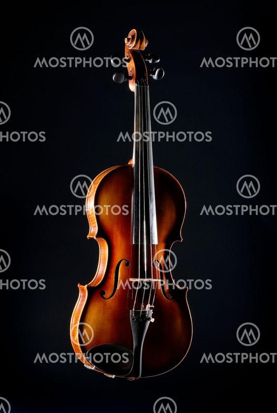Violin on black