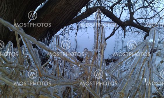 winter in the netherlands