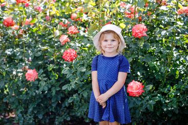 Portrait of little toddler girl in blossoming rose...