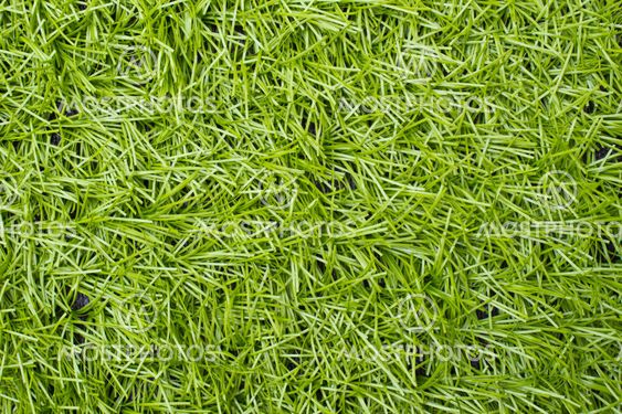 Artificial Green Grass