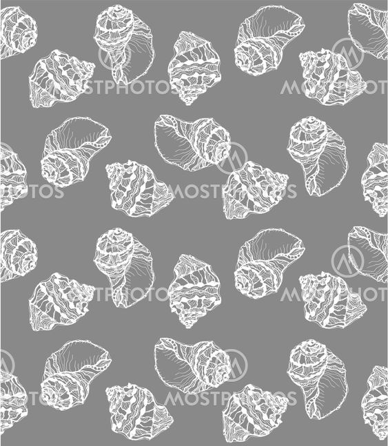 Vector seamless pattern from white seashell on gray...