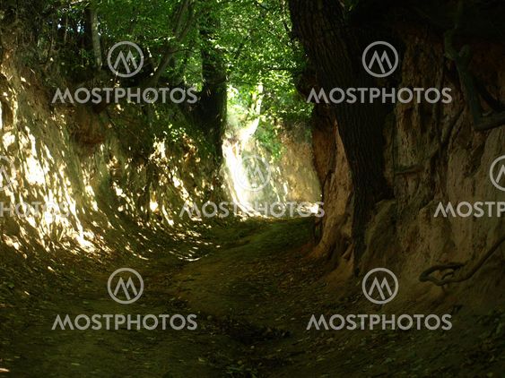 Ravine in Kazimierz Dolny, Poland