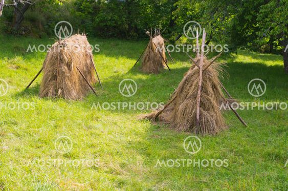 Hay stacks