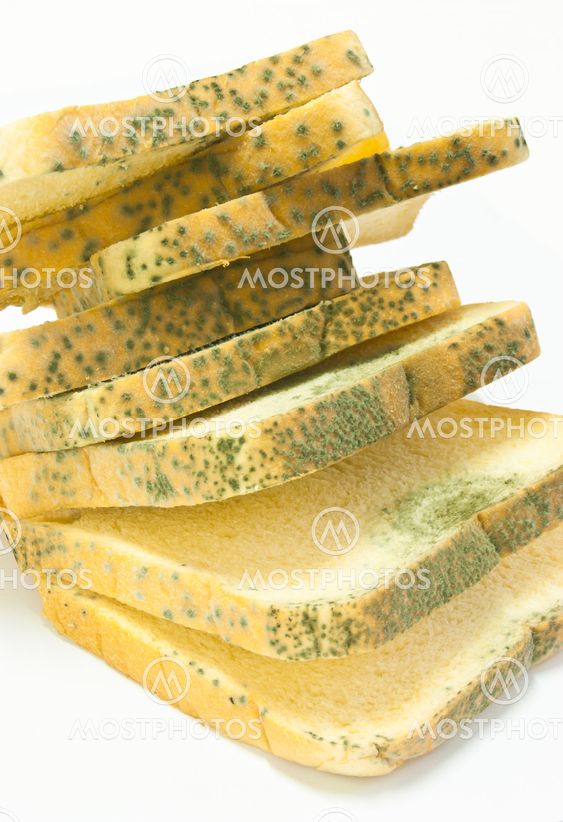 mold on bread
