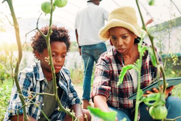 Black woman, child and farming in greenhouse, plants and...