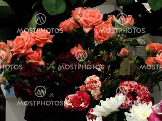 many red roses