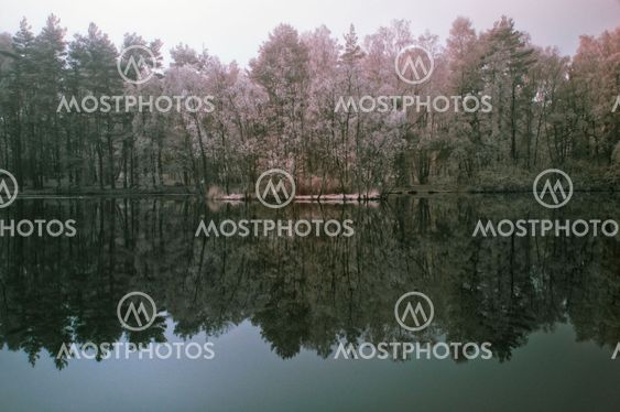 IR Mirror