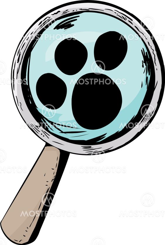 Magnifying Glass Over White