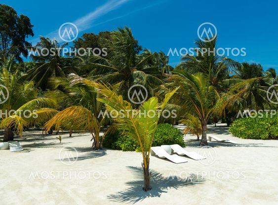 Perfect tropical island paradise beach
