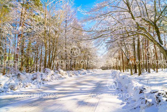 Road in winter , Japan
