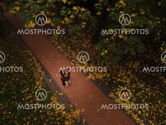 couple meet in autumn park overhead top view