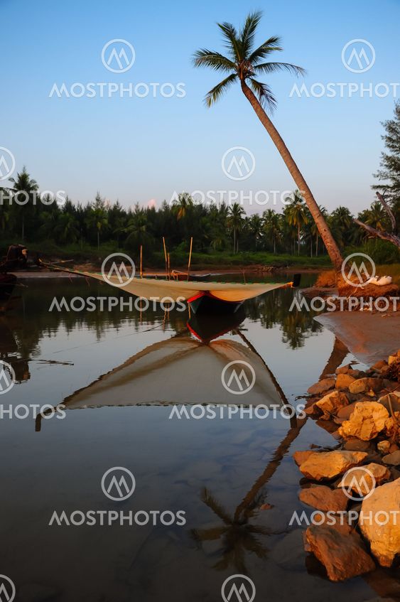 Palm tree on the beach