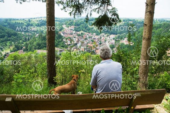 Man and dog at viewpoint