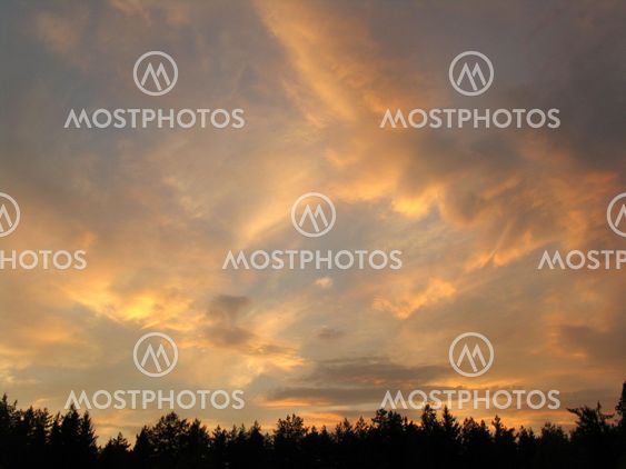Sunset over the forest, sky with clouds