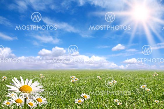 Happy Bright Spring Day Outside